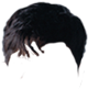 Zoom-Puppenkopf